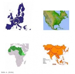 acheta_repartition