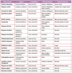 Tableau_lignivores_feuillus