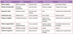 Tableau_lignivores_résineux