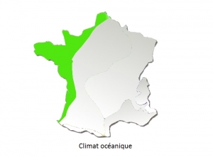 Climat océanique