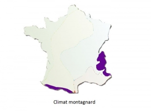 Climat montagnard