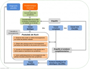 Figure-Etiologie