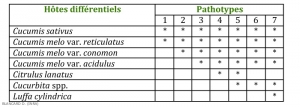 Mildiou-Pathotypes